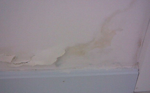 卫生间漏水,有没有不砸砖的解决办法?老师傅来告诉你答案 卫生间漏水,有没有不砸砖的解决办法?老师傅来告诉你答案